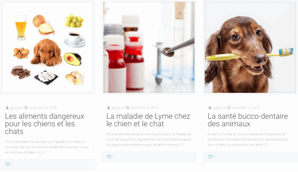 blog-veterinaire