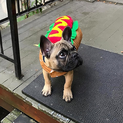 Virus Santé Cmmunication Virus Santé Cmmunication